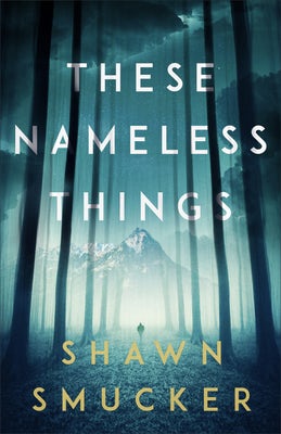 Cover image for These Nameless Things, isbn: 9780800738631