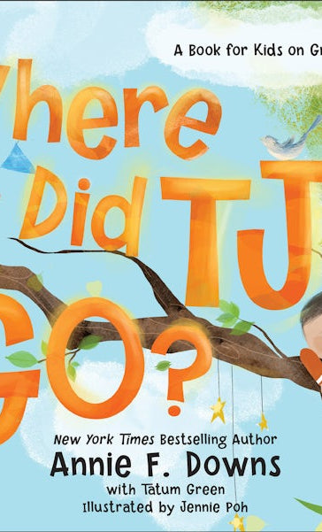 Cover image for Where Did Tj Go?, isbn: 9780800738785