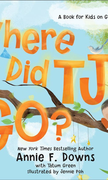 Cover image for Where Did Tj Go?, isbn: 9780800738785