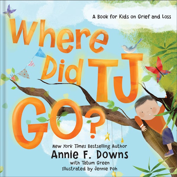 Cover image for Where Did Tj Go?, isbn: 9780800738785