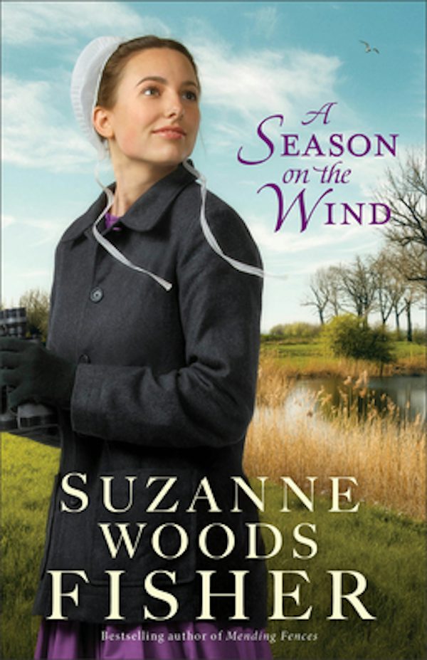 Cover image for A Season on the Wind, isbn: 9780800739508