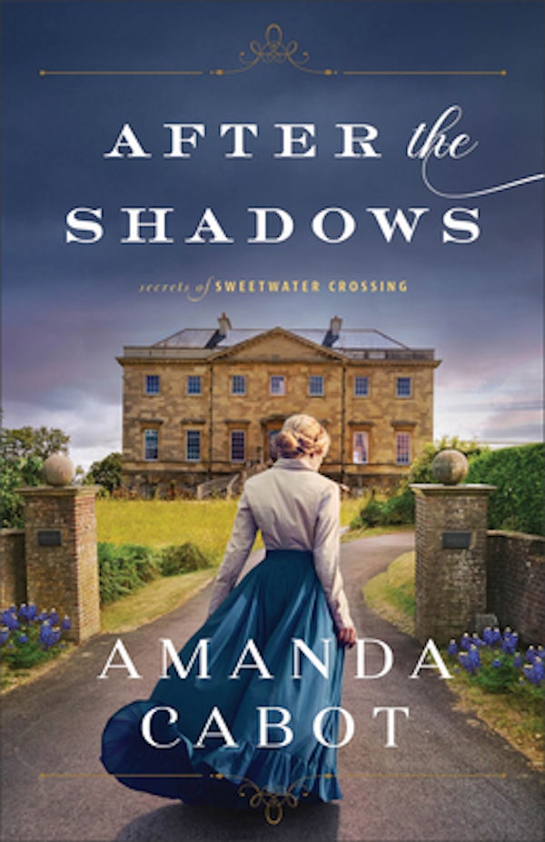 Cover image for After the Shadows, isbn: 9780800740641