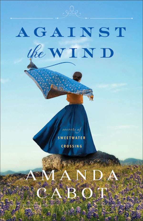 Cover image for Against the Wind, isbn: 9780800740658