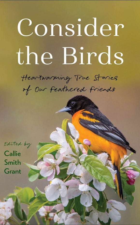 Cover image for Consider the Birds, isbn: 9780800740955