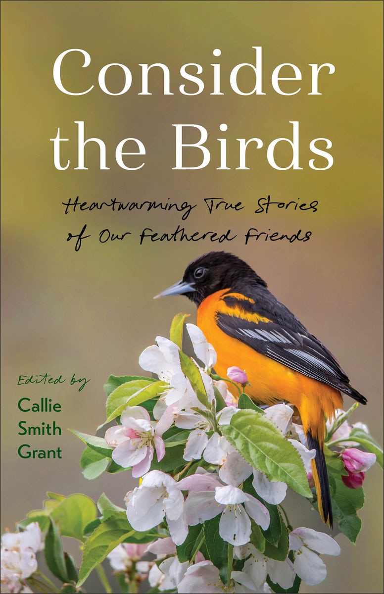 Cover image for Consider the Birds, isbn: 9780800740955