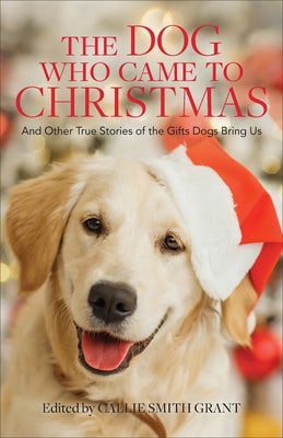 Cover image for Dog Who Came to Christmas, isbn: 9780800741259