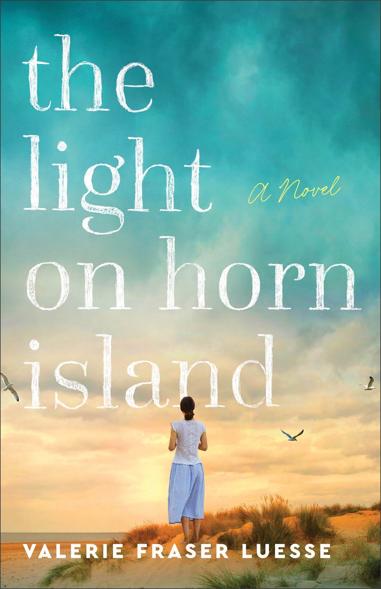 Cover image for The Light on Horn Island, isbn: 9780800741617