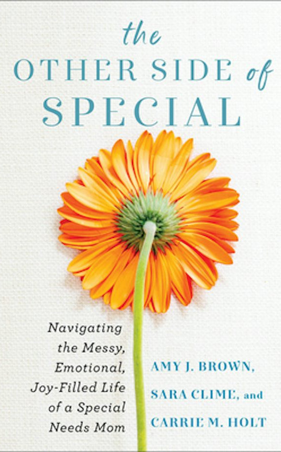 Cover image for The Other Side of Special, isbn: 9780800742119