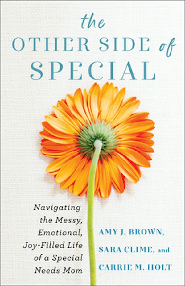 Cover image for The Other Side of Special, isbn: 9780800742119
