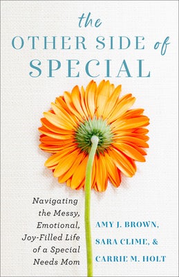 Cover image for Other Side of Special, isbn: 9780800743109
