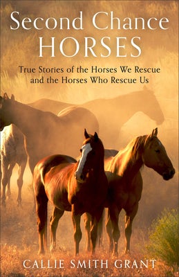 Cover image for Second-Chance Horses, isbn: 9780800745080