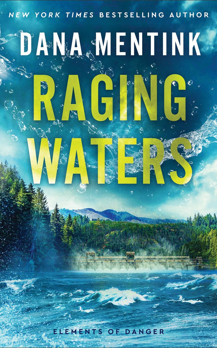 Cover image for Raging Waters, isbn: 9780800746537