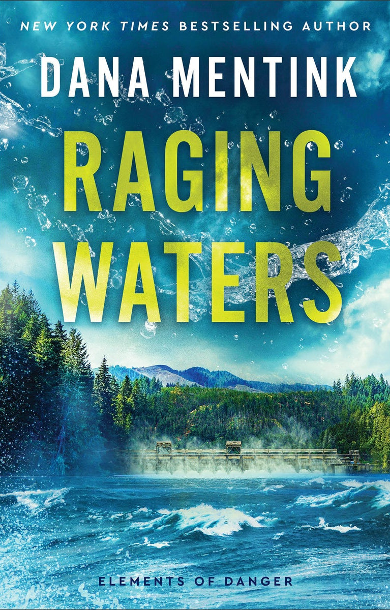 Cover image for Raging Waters, isbn: 9780800746537