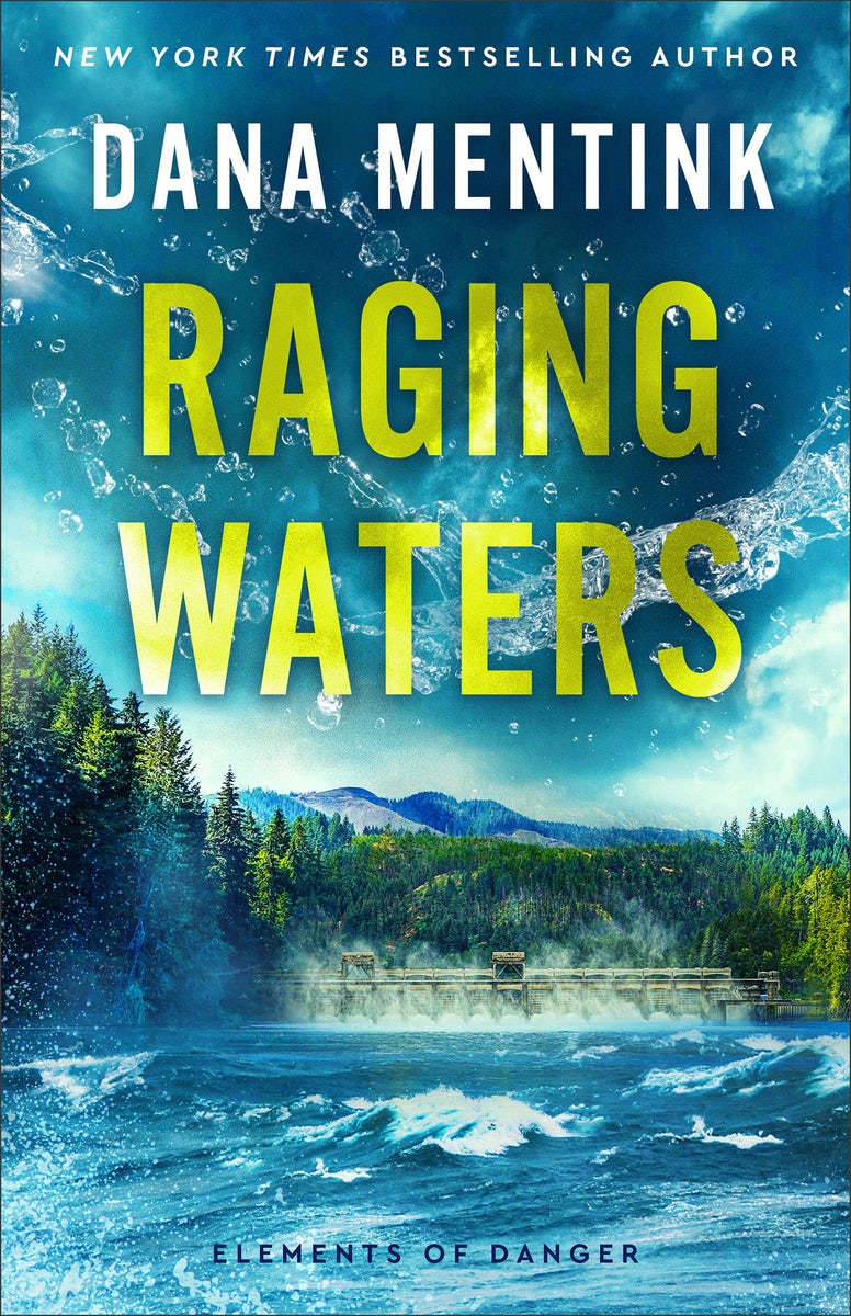 Cover image for Raging Waters, isbn: 9780800746537