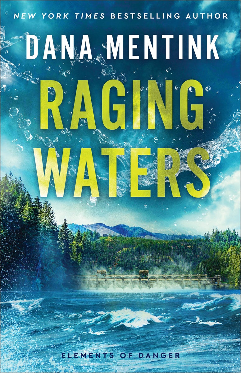 Cover image for Raging Waters, isbn: 9780800746537