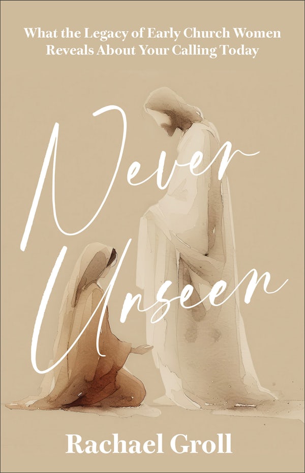 Cover image for Never Unseen, isbn: 9780800746919