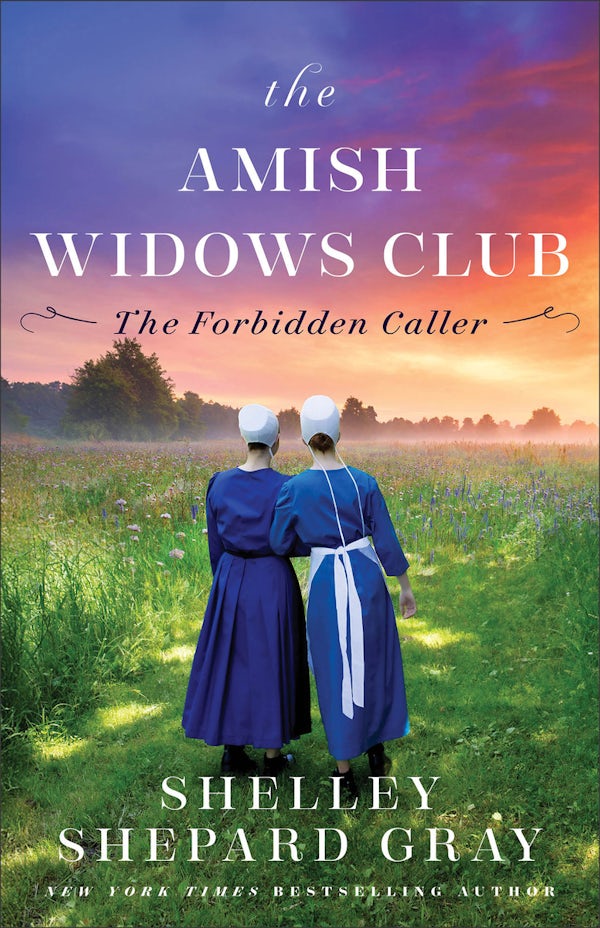 Cover image for The Forbidden Caller, isbn: 9780800747275
