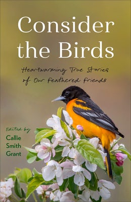 Cover image for Consider the Birds, isbn: 9780800747459