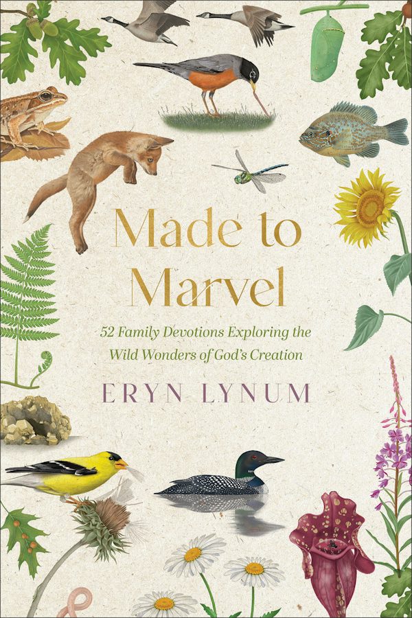 Cover image for Made to Marvel, isbn: 9780800748500