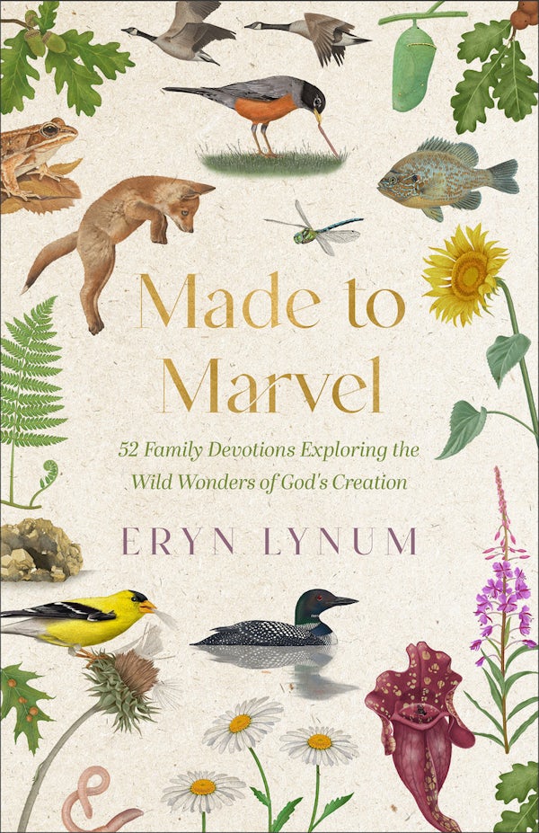 Cover image for Made to Marvel, isbn: 9780800748500