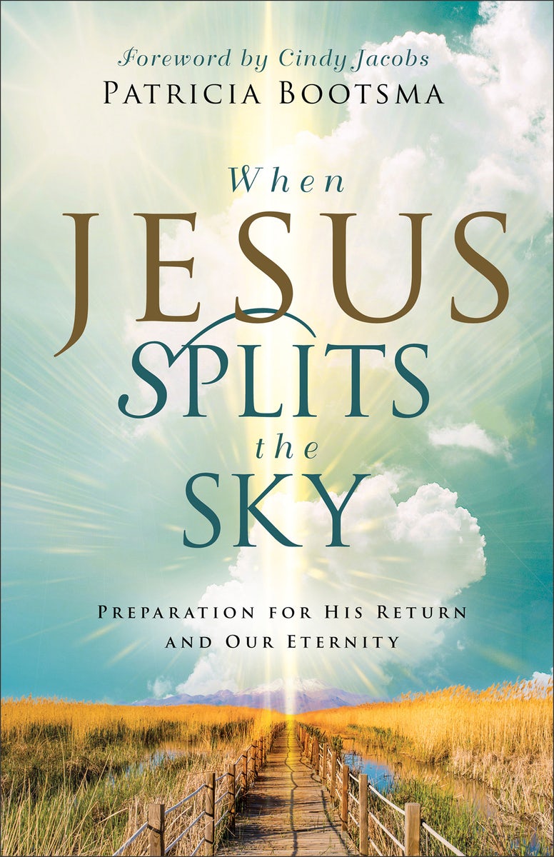 Cover image for When Jesus Splits the Sky, isbn: 9780800772772
