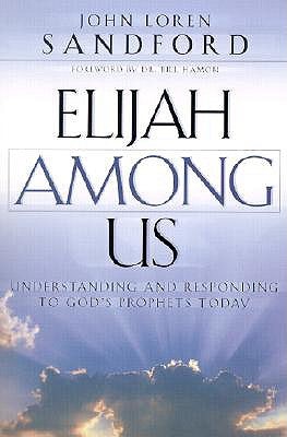 Cover image for Elijah Among Us, isbn: 9780800793036