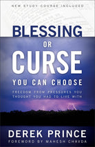 Cover image for Blessing or Curse, isbn: 9780800794088