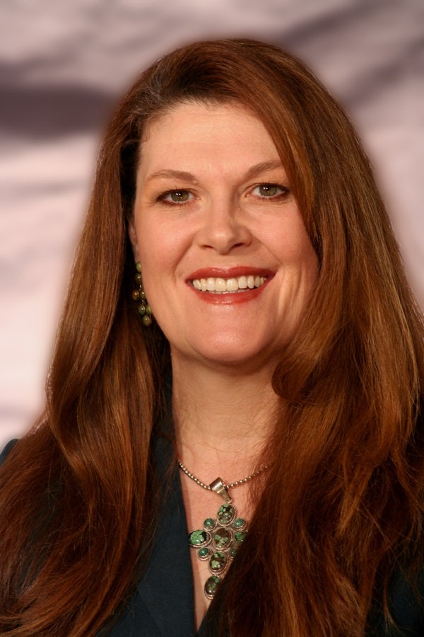 Cover image for Storm Warrior, isbn: 9780800794392