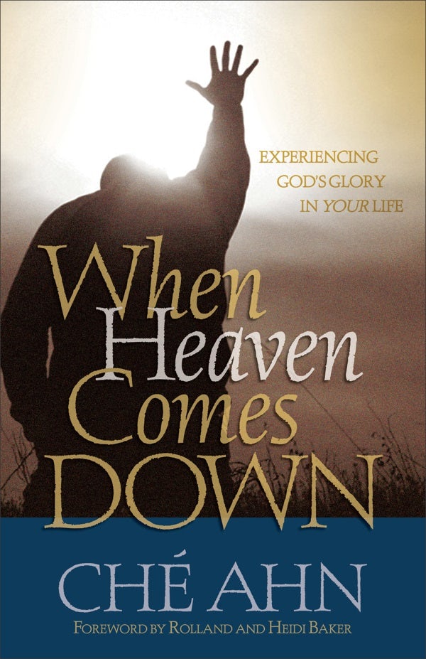 Cover image for When Heaven Comes Down, isbn: 9780800794798