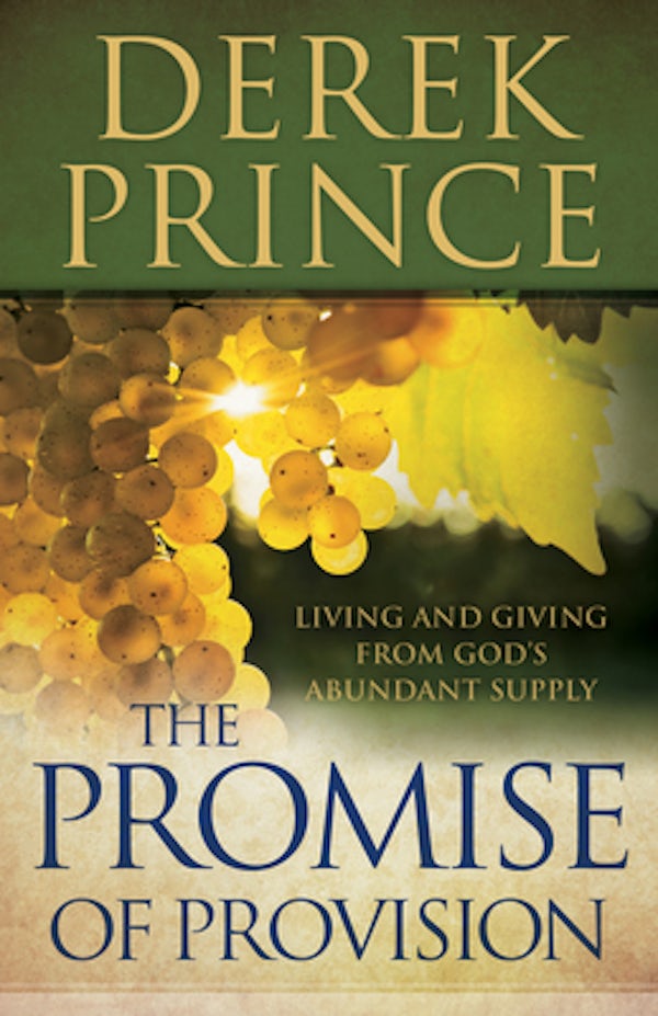 Cover image for Promise of Provision, isbn: 9780800795221