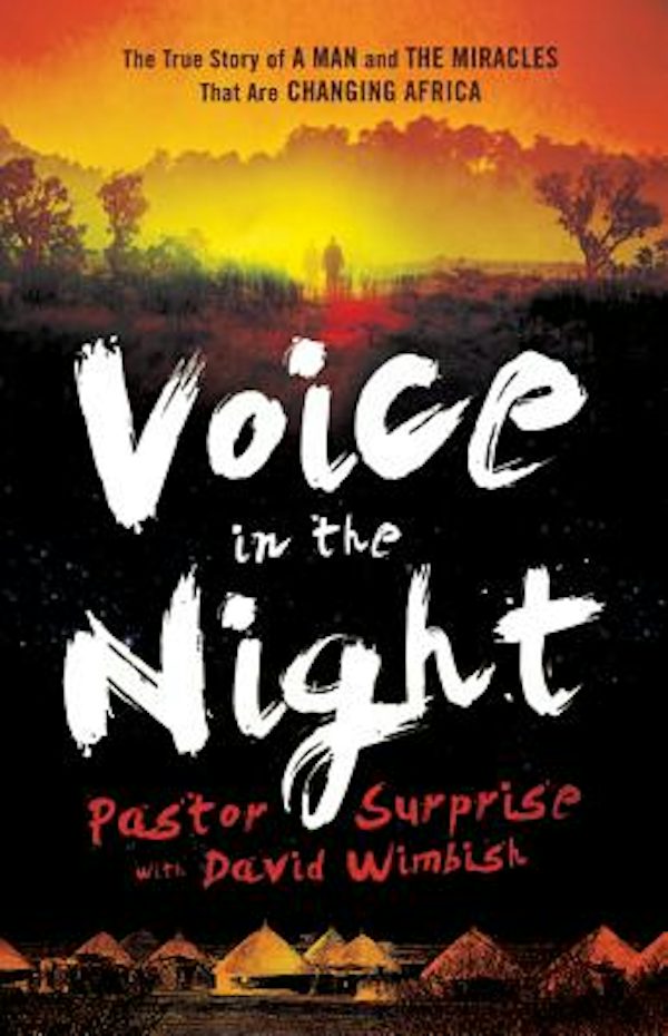 Cover image for Voice in the Night, isbn: 9780800795238
