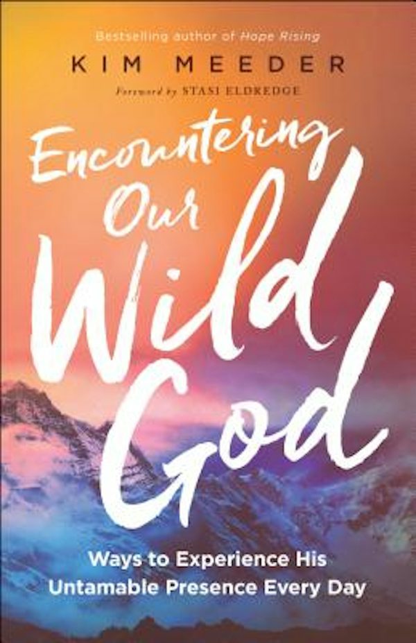 Cover image for Encountering Our Wild God, isbn: 9780800798857