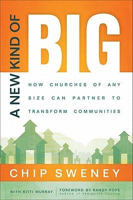 Cover image for A New Kind of Big, isbn: 9780801013690