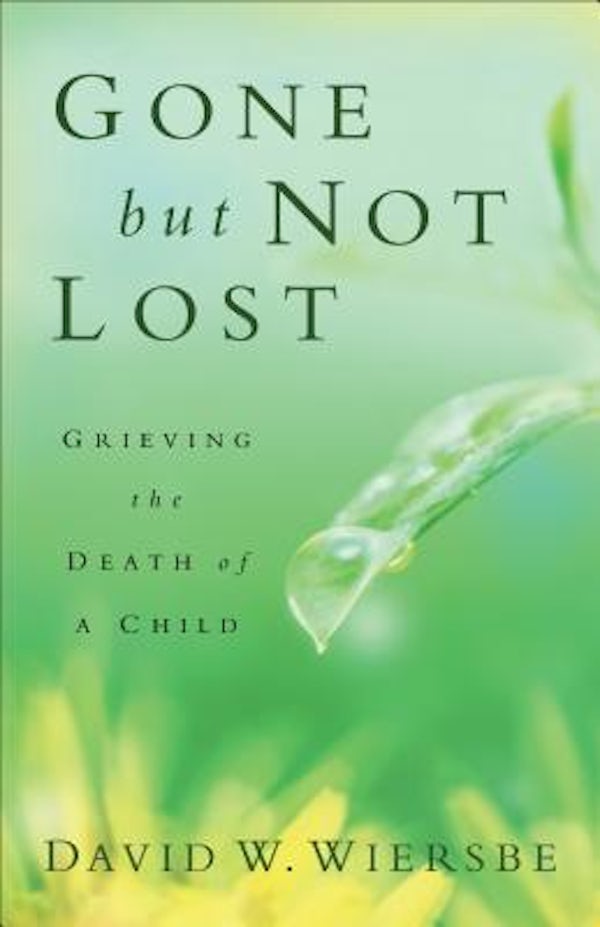 Cover image for Gone But Not Lost, isbn: 9780801013812
