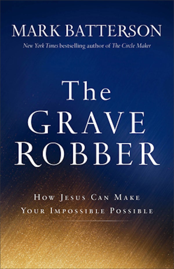 Cover image for The Grave Robber, isbn: 9780801015984