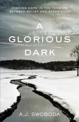 Cover image for A Glorious Dark, isbn: 9780801016967