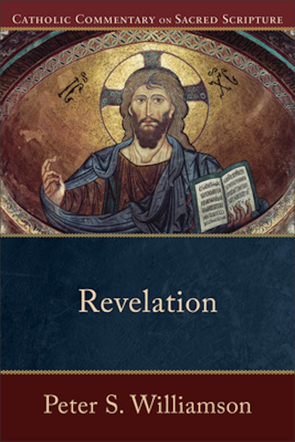 Cover image for Revelation, isbn: 9780801036507