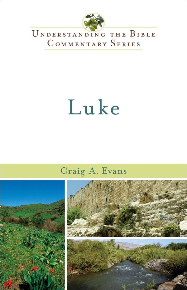 Cover image for Luke, isbn: 9780801046193