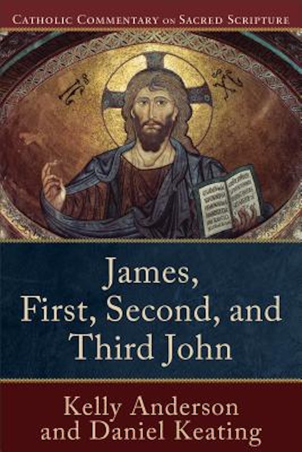 Cover image for James, First, Second, and Third John, isbn: 9780801049224