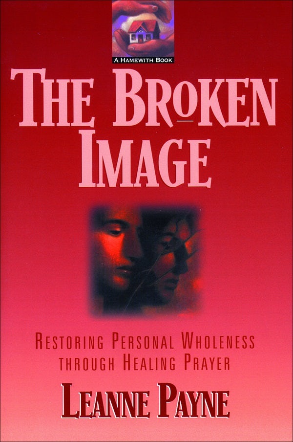 Cover image for The Broken Image, isbn: 9780801053344