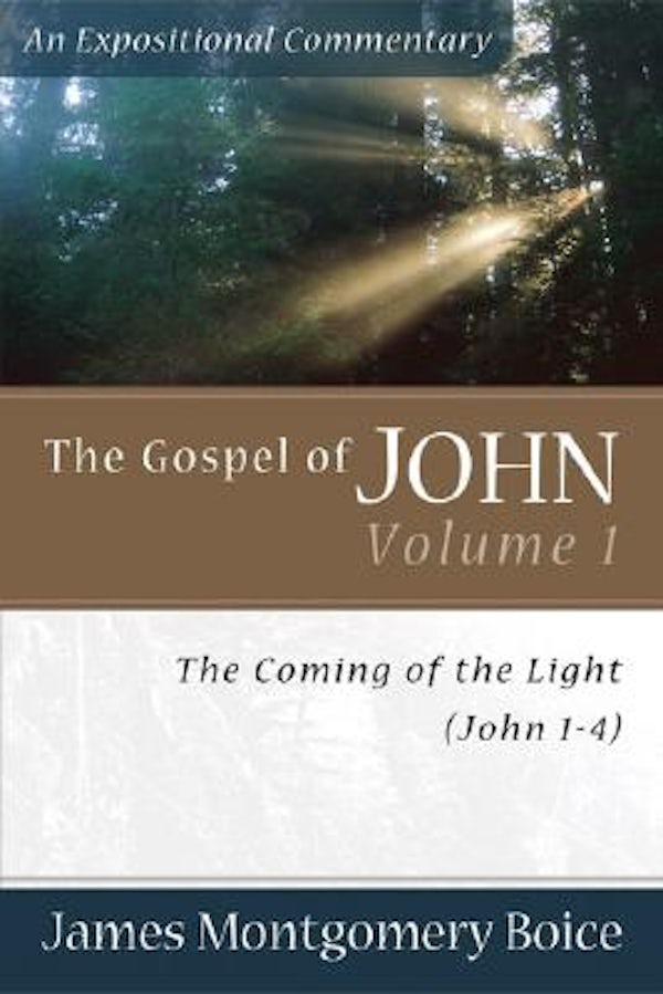 Cover image for The Gospel of John, isbn: 9780801065774
