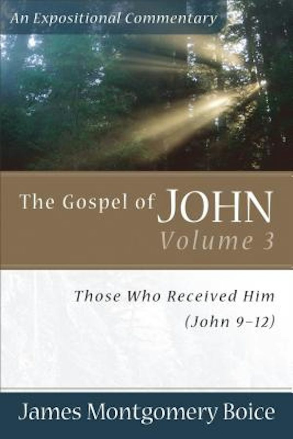 Cover image for The Gospel of John, isbn: 9780801065811