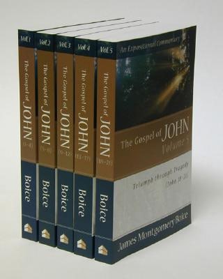 Cover image for The Gospel of John, isbn: 9780801065965