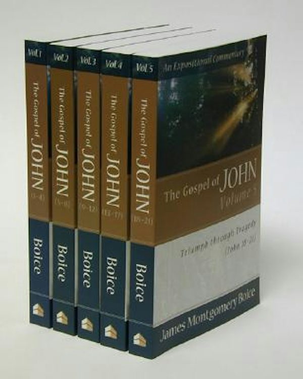 Cover image for The Gospel of John, isbn: 9780801065965