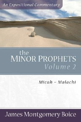 Cover image for The Minor Prophets, isbn: 9780801066368