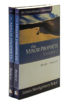 Cover image for The Minor Prophets, isbn: 9780801066481