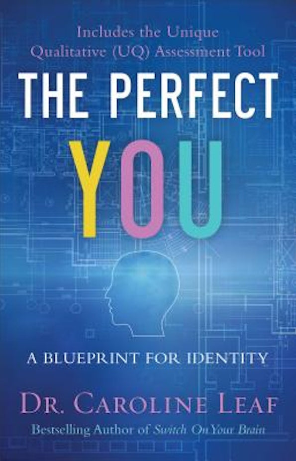 Cover image for The Perfect You, isbn: 9780801077968