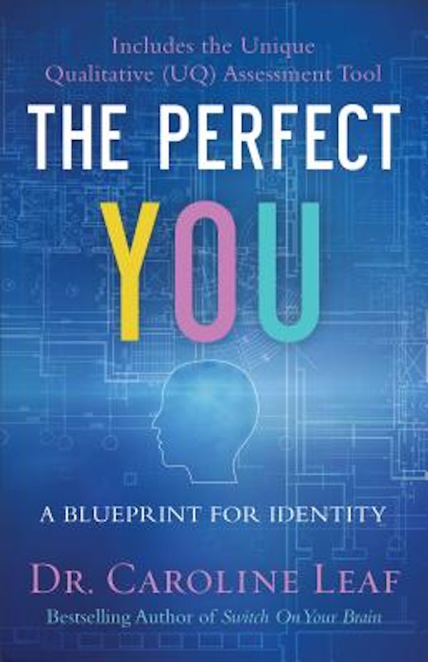 Cover image for The Perfect You, isbn: 9780801077968