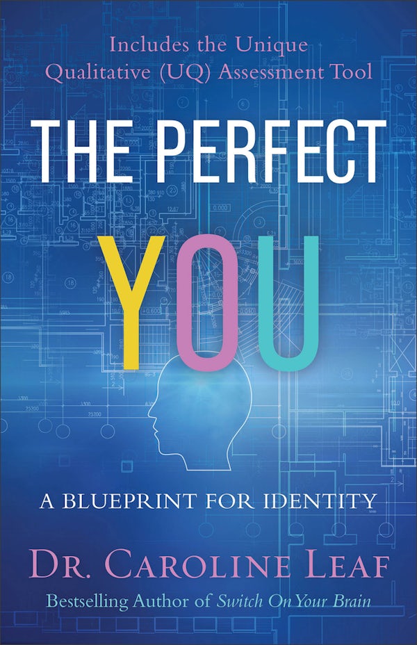 Cover image for The Perfect You, isbn: 9780801077968