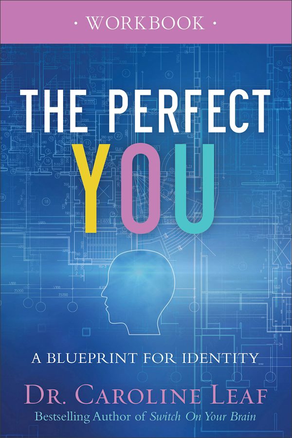 Cover image for The Perfect You Workbook, isbn: 9780801077975
